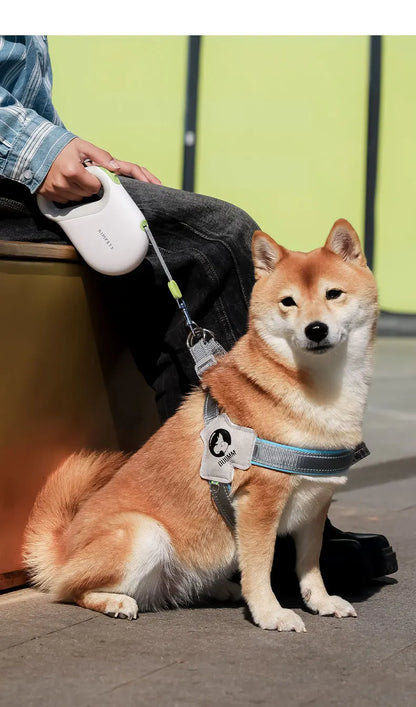 Dog Telescopic Leash 5m Reflective Leash Silicone Effort-Saving Handle Safe Walking the Dog at Night Explosion-Proof Dog Leash