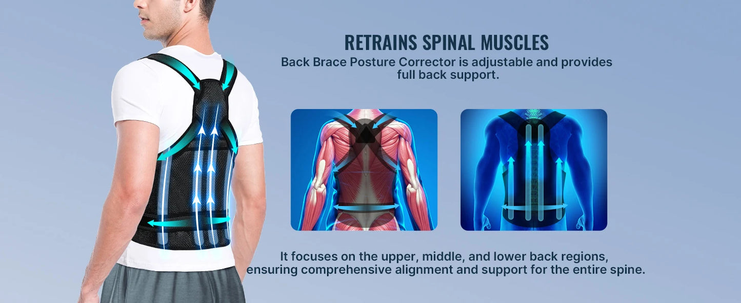 Back Brace and Posture Corrector for Women Men, Adjustable & Lightweight - Scoliosis & Hunchback Correction, Relief Back Pain