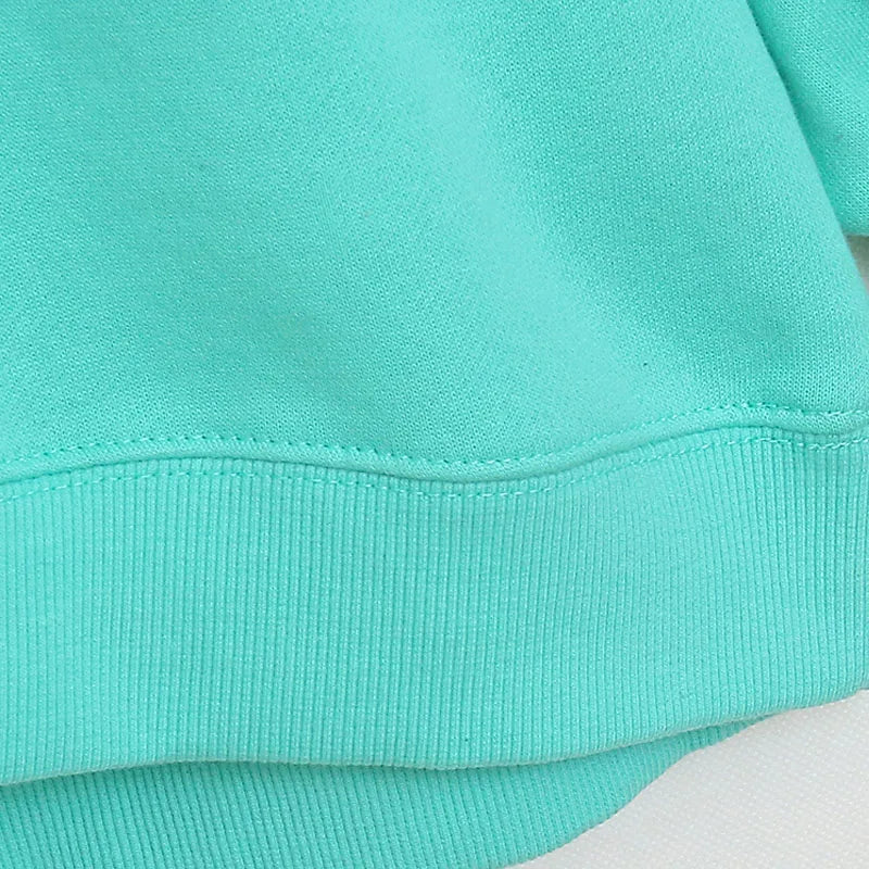 Disney World Disneyland Embroidery Sweatshirt Women Casual Fleece Jumper Mickey Daisy Duck Cartoon Loose Pullover Top O Neck