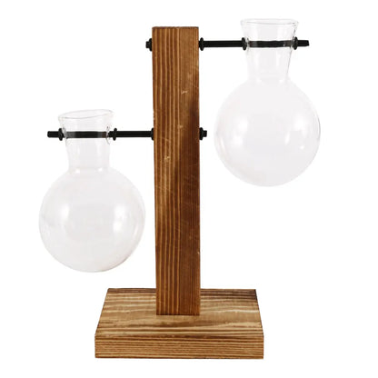 Glass Desktop Planter with Wooden Stand - Hydroponic Bulb Vase for Home Decor