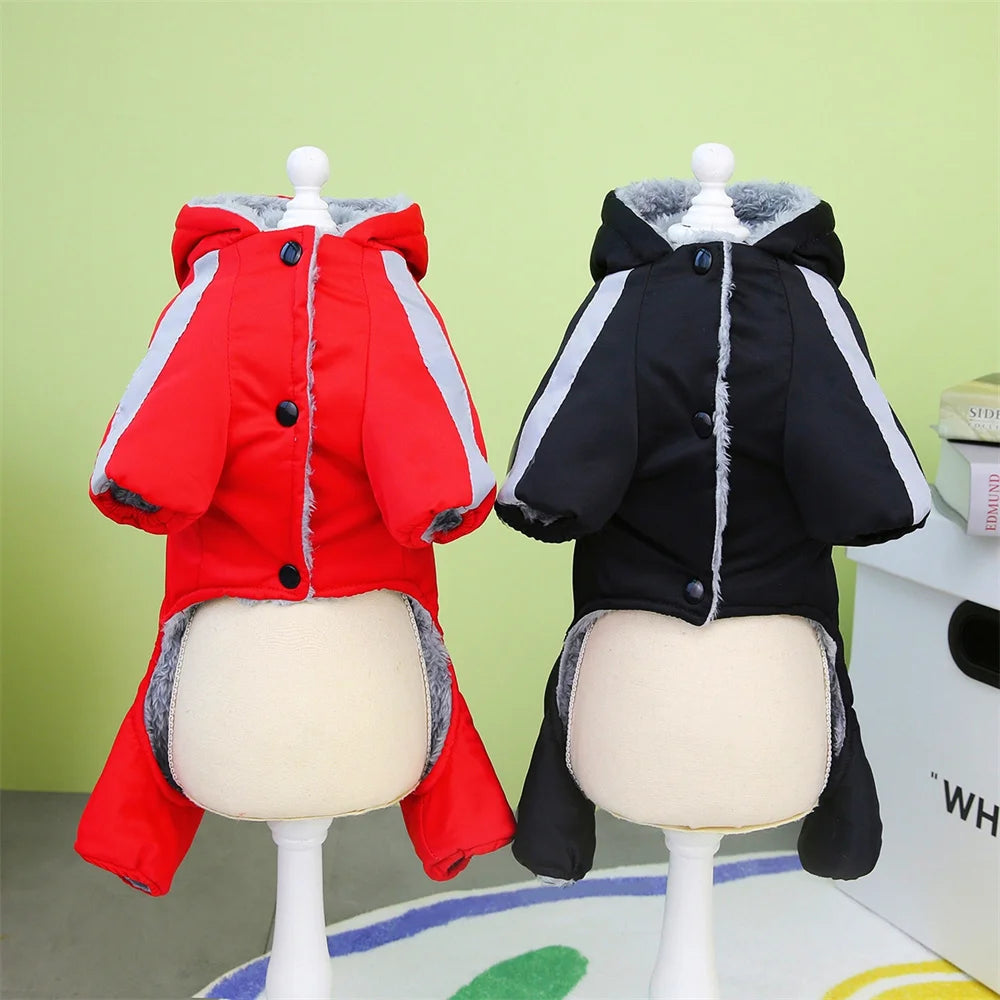 ZOOMNSTORE