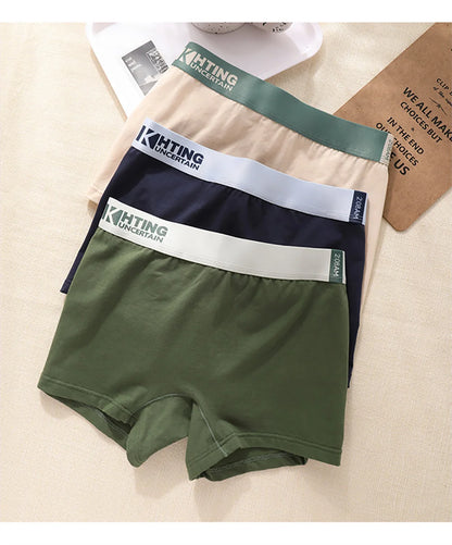 3PCS/Pack 100% Cotton Breathable Antibacterial Women's Panties Comfortable Soft Lingerie High Elastic Waistband Female Underwear