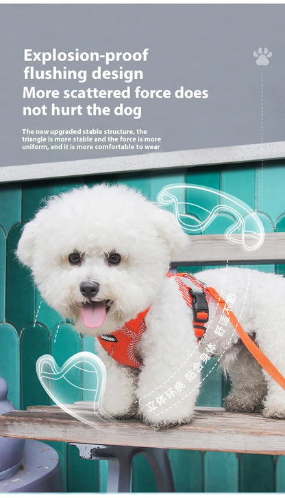 Breathable Reflective Dog Harness for Small Medium Dogs Cats Patterned Comfortable Adjustable Pet Vest with Leash