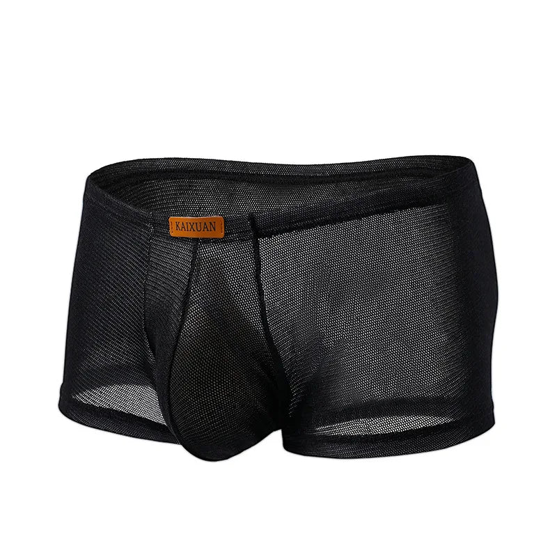 Men's Ice Silk Mesh Boxer Briefs Ultra-thin Breathable Cool Quick Dry Underwear Soft Comfortable Panties for Summer Daily Wear