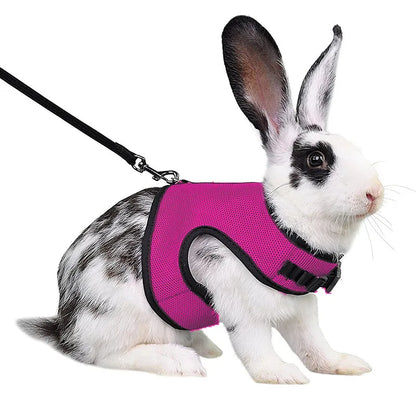 Solid Adjustable Pet Harness and Leash for Rabbit Bunny Cat Ferrets Outdoor Walking Pets Supplies Lapin Accessoires Pour Animaux