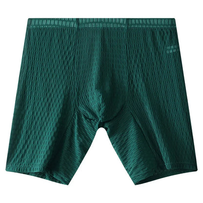 Mens Underpant Solid Transparent Mesh Boxers Shorts Man Soft Lace Underwear Breathable U Convex Pouch Panites Cueca Calzoncillo
