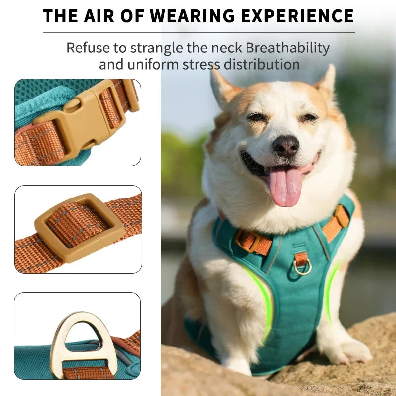 ZOOMNSTORE