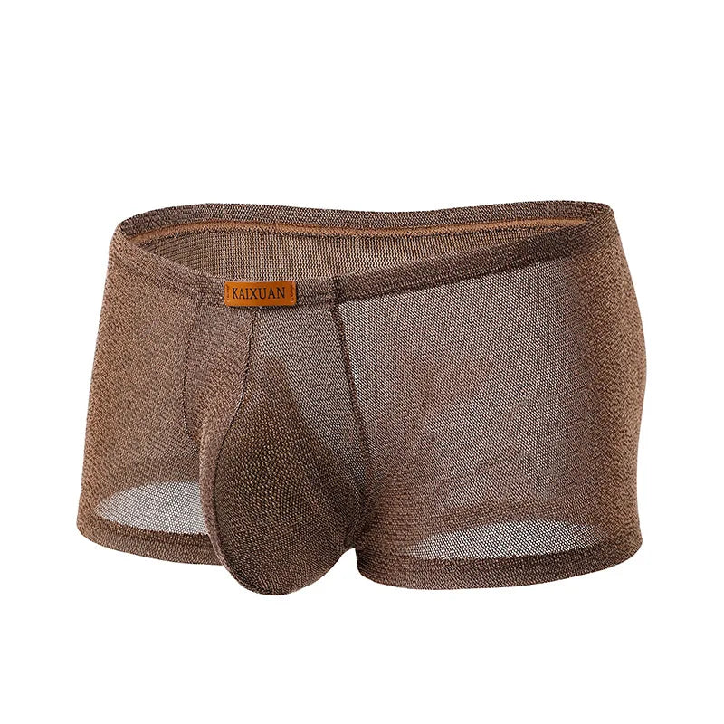 Men's Ice Silk Mesh Boxer Briefs Ultra-thin Breathable Cool Quick Dry Underwear Soft Comfortable Panties for Summer Daily Wear