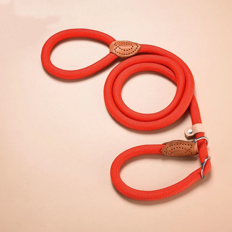 New Heavy Duty Dog Leash Slip Rope Lead Adjustable Braided Loop Collar Training Leash for Small to Medium Dogs