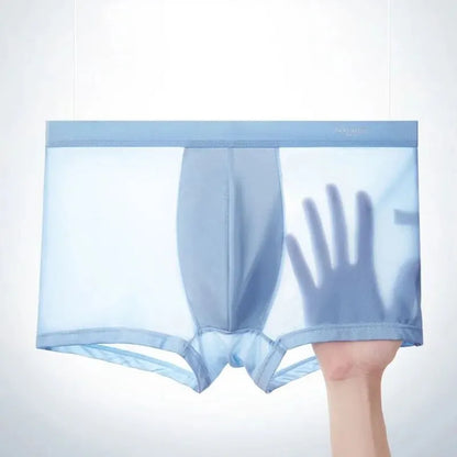 Mens Ice Silk Boxer Shorts - Breathable Cool Underwear Sexy Thin Lingerie Sizes L-6XL 4pcs Set