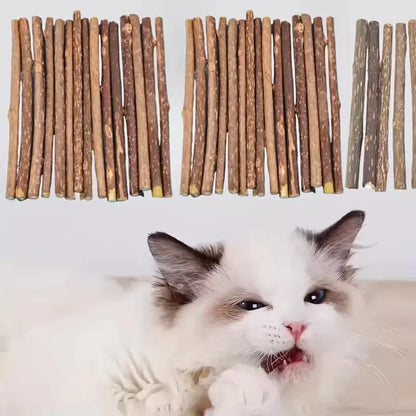 15pcs Natural Matatabi Cat Catnip Toy Kitten Molar Chew Stick Pet Cleaning Teeth Cat Treat Toy Actinidia Silvervine Pet Products