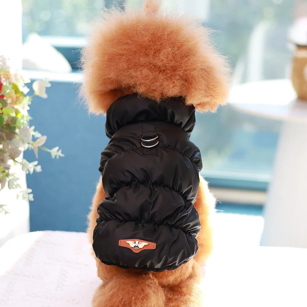ZOOMNSTORE