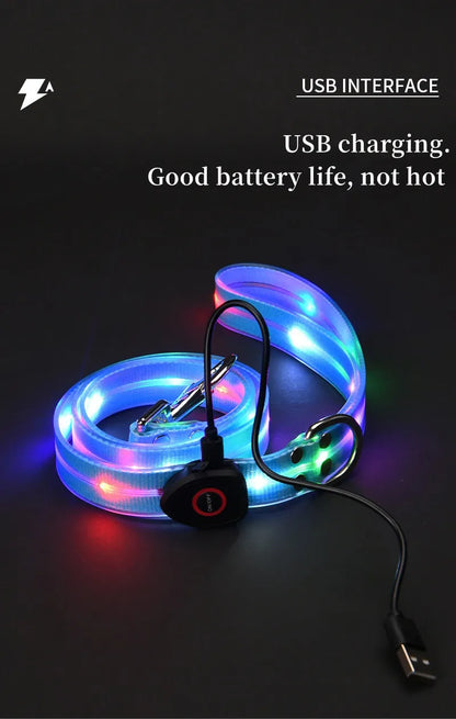 Pet light-up collar leash LED flashing collar USB charging dog walking pulling belt adjustable dog collar fashion pet supplies