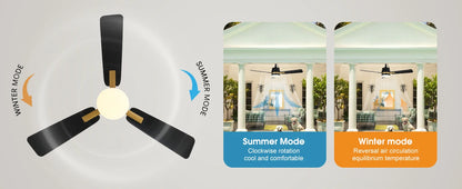 Sealing Led Ceiling Fan with Light Remote Control EU/US Standard Black/Gold Ceiling Lamp Fan 105cm Electric Fan Light Fixture