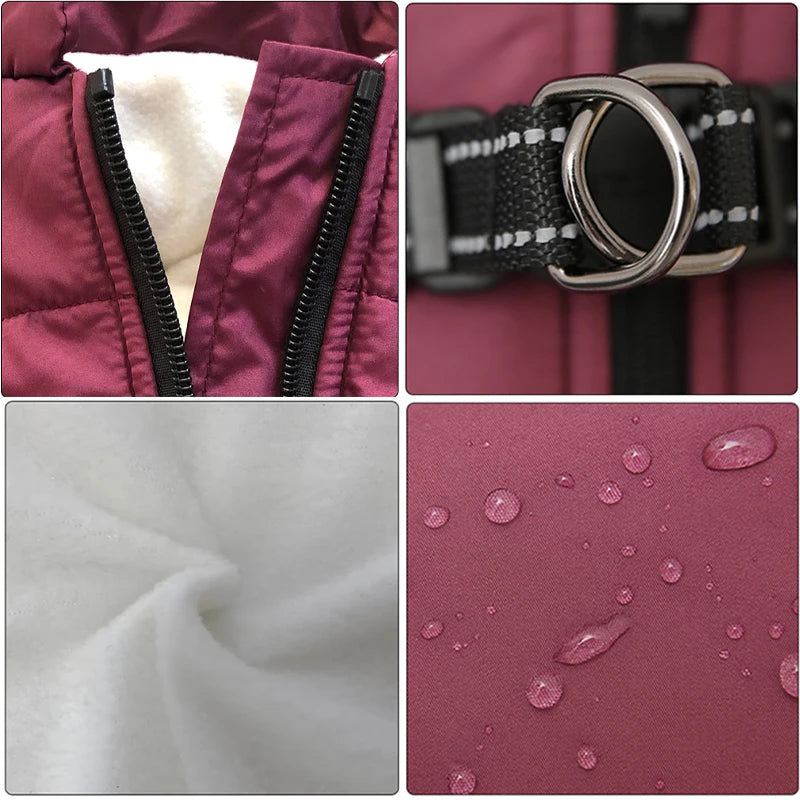 ZOOMNSTORE