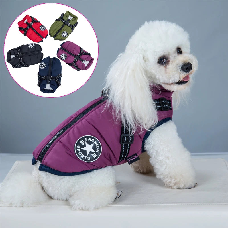 ZOOMNSTORE