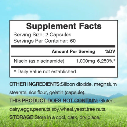Niacinamide Vitamin B3 Capsules - Supports Skin, Brain Function and Heart Health, Boosts Energy and Improves The Immune System