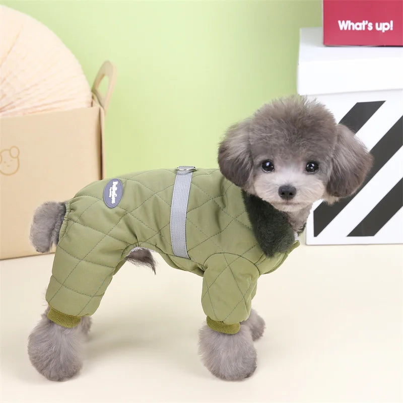 ZOOMNSTORE
