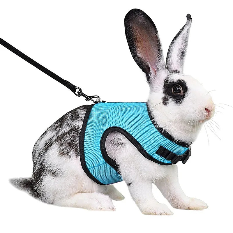 Solid Adjustable Pet Harness and Leash for Rabbit Bunny Cat Ferrets Outdoor Walking Pets Supplies Lapin Accessoires Pour Animaux