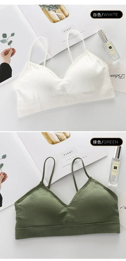 Sexy Sport Bra Top Backless Sports Bra Women Bra Tops Bralette V Neck Brassiere Sport Femme Seamless Underwear Push Up Sport