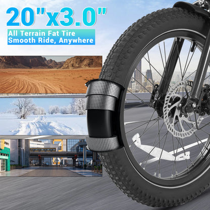 DYU BMX Electric Bike 20*3.0 Fat Tire E-Bike 48V 13Ah Removable Battery 1000W Peak Motor City Electric Bicycle for Adults