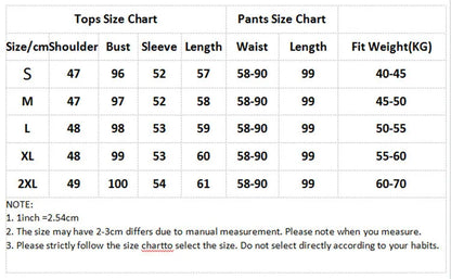 Fashion Knitted 2 Piece Set Women Sweater Suits Autumn Winter Tracksuit Sets Pullovers Long Pant Casual 2PCS Track Suit 2025
