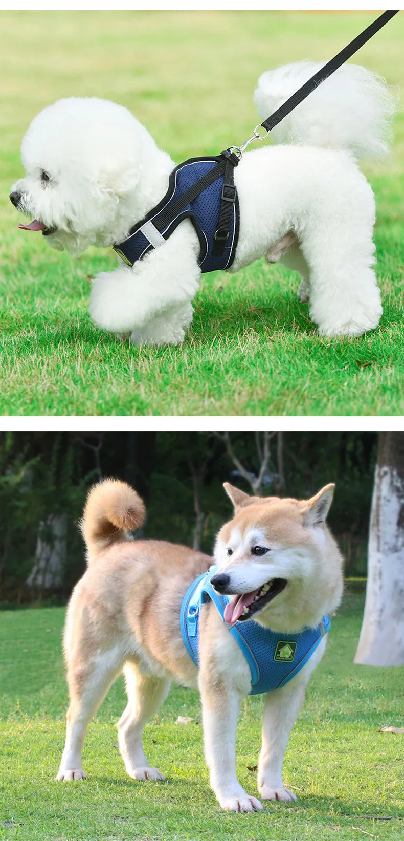 Dog Harness Small Medium Sized Dog Vest Style Leash Reflective Puppy Summer Breathable Harnesses Pet Supplies Dog Collar Corgi