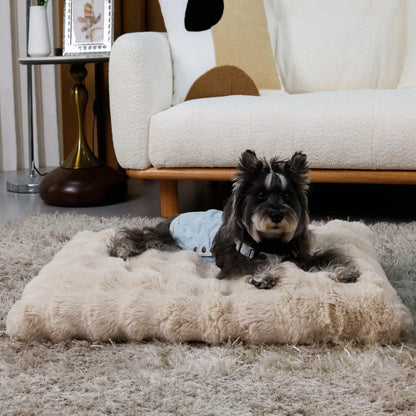 Ultra Plush Dog Bed - Large Soft Pet Cushion with Premium Foam & Removable Cover