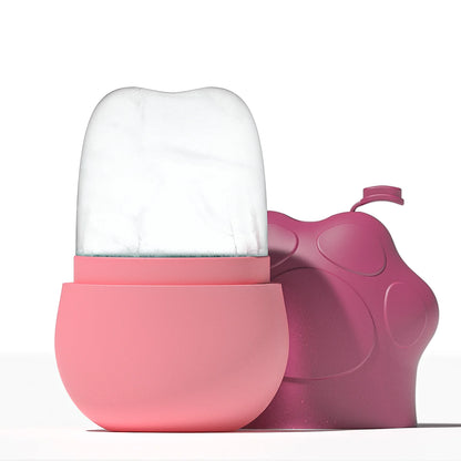 Silicone Face Ice Cube Mould Beauty Skin Care Silicone Face Ice Roller