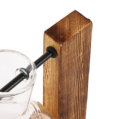 Glass Desktop Planter with Wooden Stand - Hydroponic Bulb Vase for Home Decor