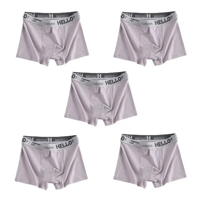 1/5pcs Men's Underwear, Breathable Comfy Quick Drying Stretchy Boxer Trunks, Sexy Underpants, Men's Trendy Boxer Panties