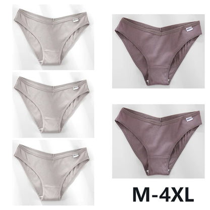 Women Cotton Panties - 5PCS Mid Rise Briefs Plus Size Sexy Ladies Underwear