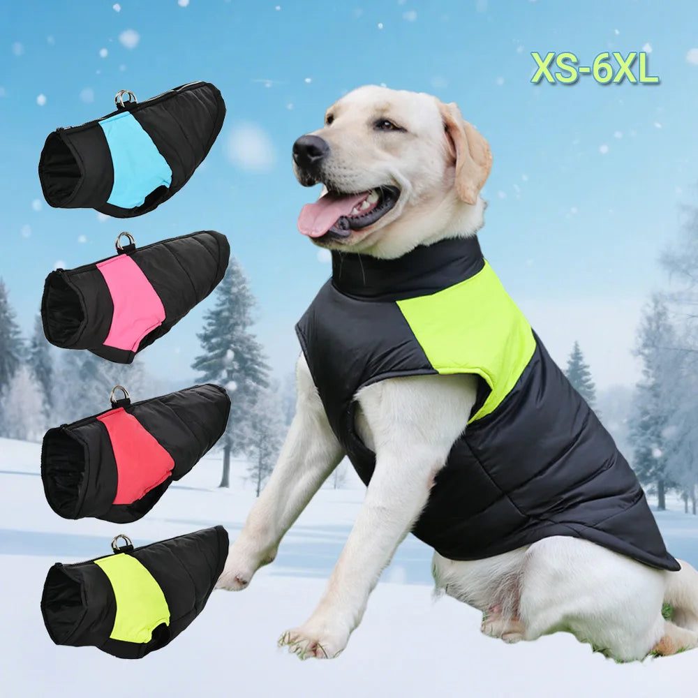 ZOOMNSTORE