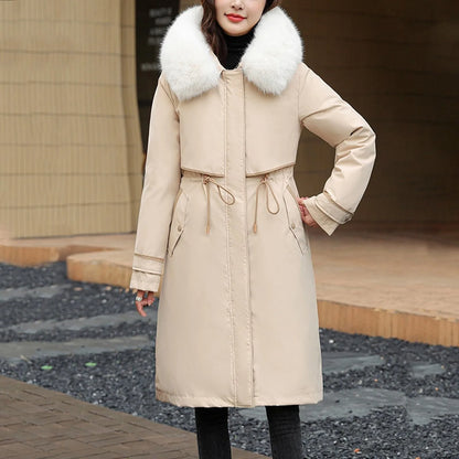 Korean Style Cotton Jacket – Women Winter Coat | Mid Length Zipper Closure Jacket