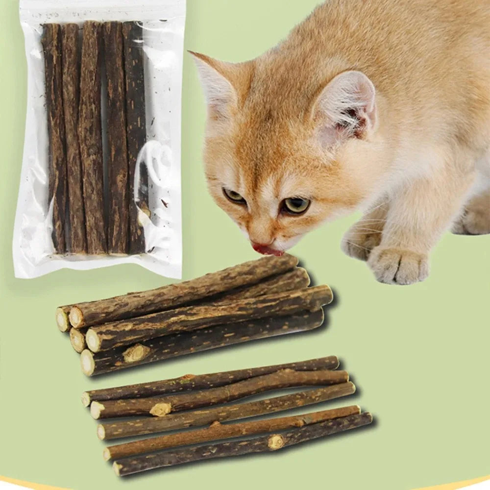 15pcs Natural Matatabi Cat Catnip Toy Kitten Molar Chew Stick Pet Cleaning Teeth Cat Treat Toy Actinidia Silvervine Pet Products