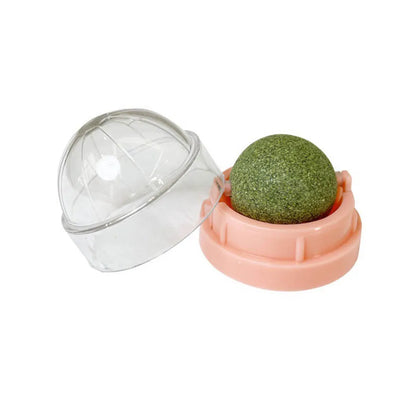 Catnip Wall Ball Toy - Natural Scratchers  Digestion Treats - ZOOMNSTORE