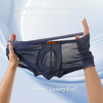 Men's Ice Silk Mesh Boxer Briefs Ultra-thin Breathable Cool Quick Dry Underwear Soft Comfortable Panties for Summer Daily Wear