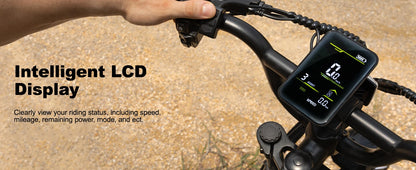 VDL Mountain Electric Bike , 16" Fat Tire Ebike, Wider Seat 250W Peak Motor, Removable Battery, Front Fork Suspension