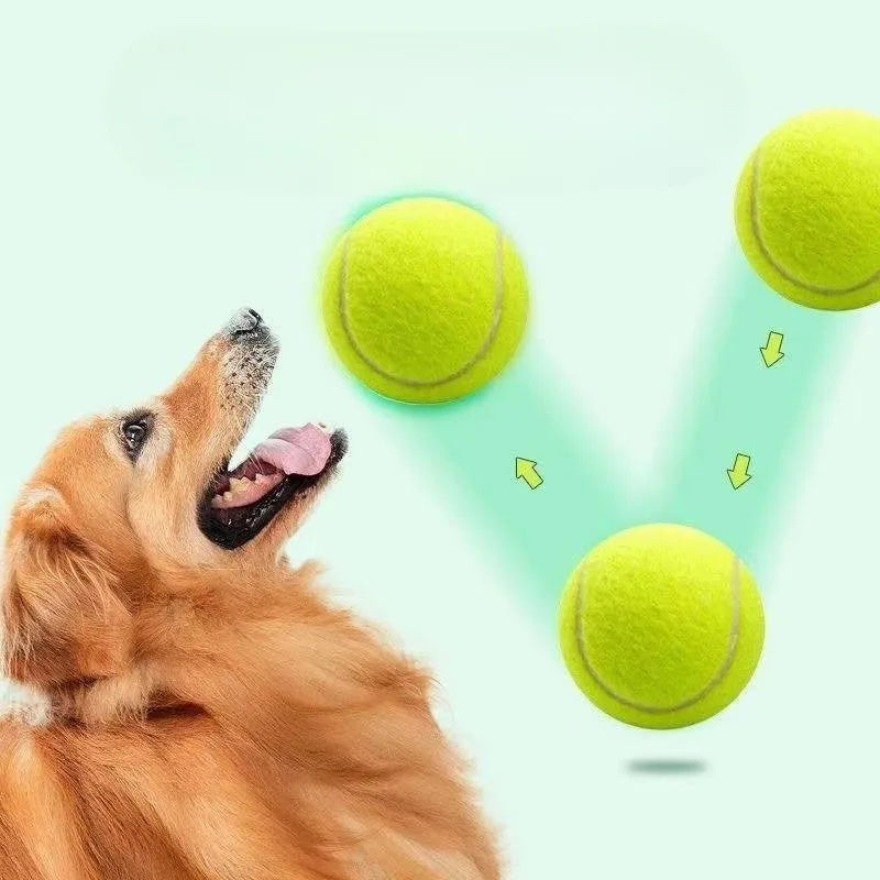 A Tennis Balls for Dogs, 2-Inch Size, Compatible with Most Automatic Ball Launchers Idea for Small Dogs(12 Balls Only)