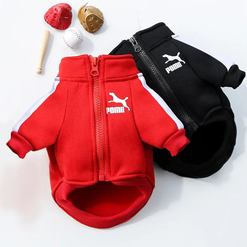 ZOOMNSTORE