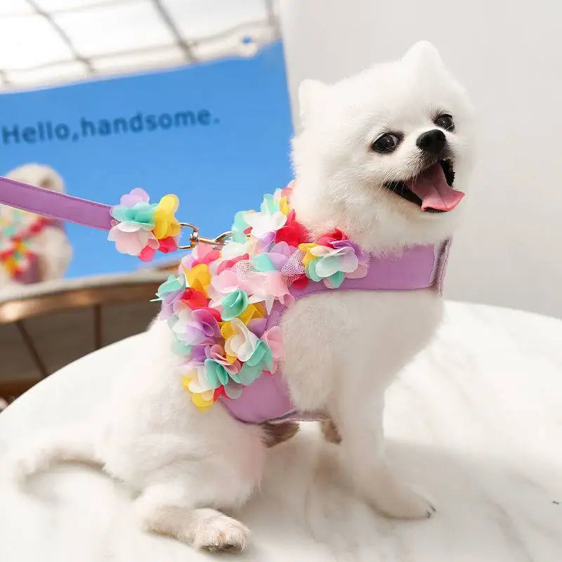 Pets Coller Harness Small Medium Dog Chihuahua Pomeranian Accessories Ins Style Collar with Strap Floral Puppy Leash Pet Harness