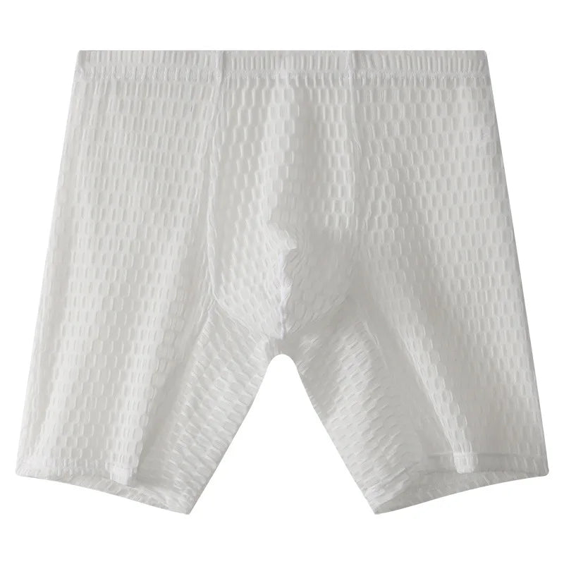 Mens Underpant Solid Transparent Mesh Boxers Shorts Man Soft Lace Underwear Breathable U Convex Pouch Panites Cueca Calzoncillo