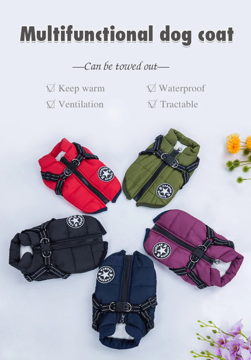 ZOOMNSTORE