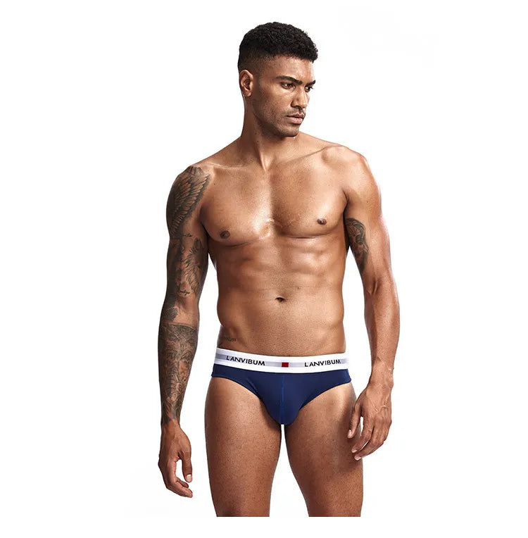 3pcs Men's Pure Cotton Low Waist Elastic Sexy Loose Breathable Youth Pant Headband Underwear Summer Cotton Briefs