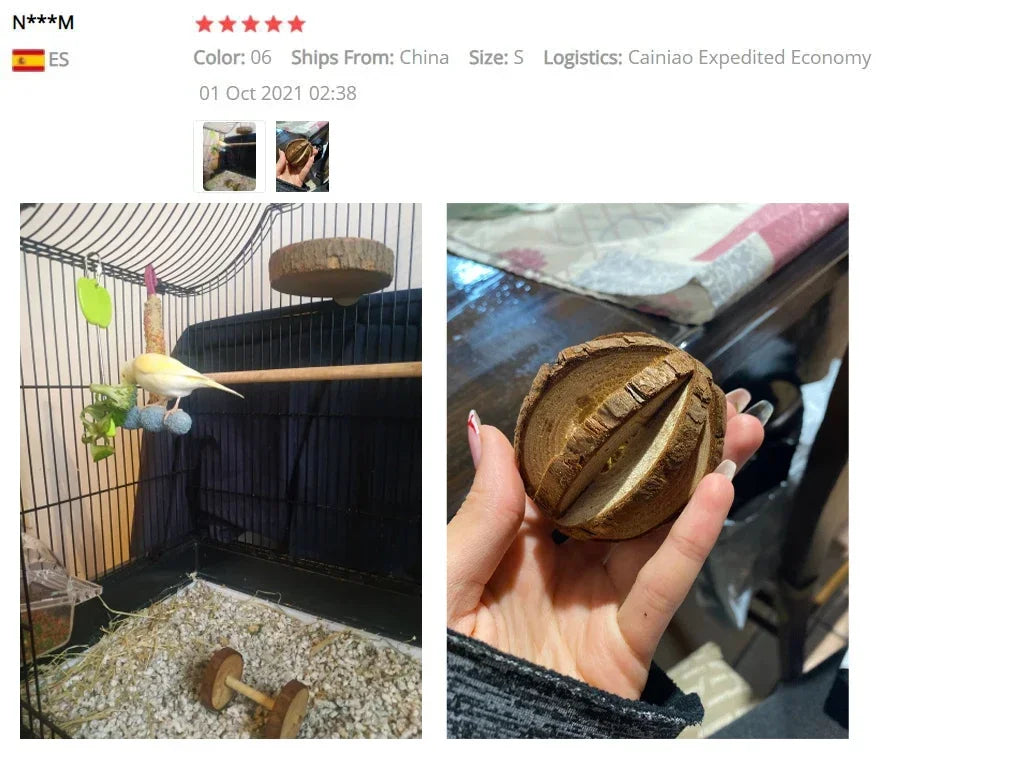 ZOOMNSTORE
