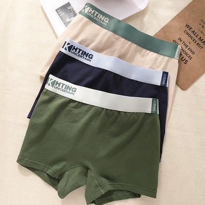3PCS/Pack 100% Cotton Breathable Antibacterial Women's Panties Comfortable Soft Lingerie High Elastic Waistband Female Underwear