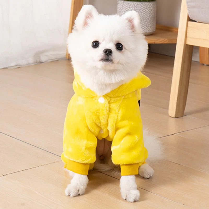ZOOMNSTORE