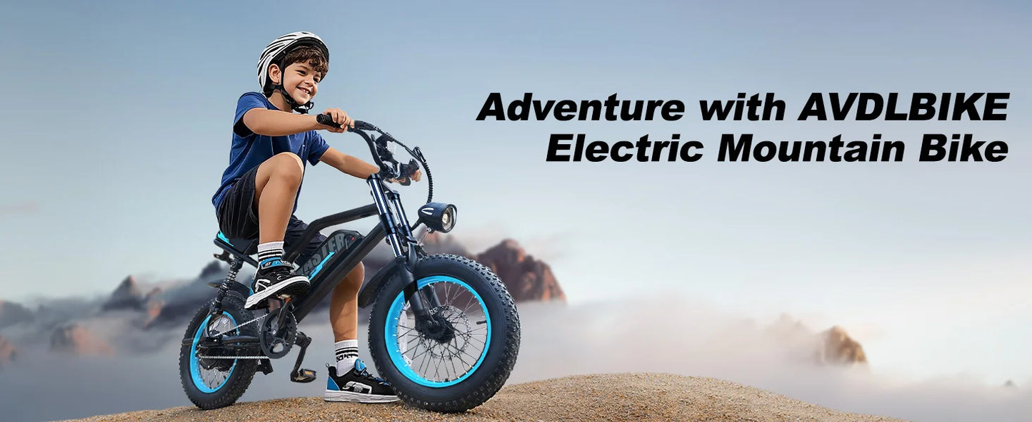 VDL Mountain Electric Bike , 16" Fat Tire Ebike, Wider Seat 250W Peak Motor, Removable Battery, Front Fork Suspension