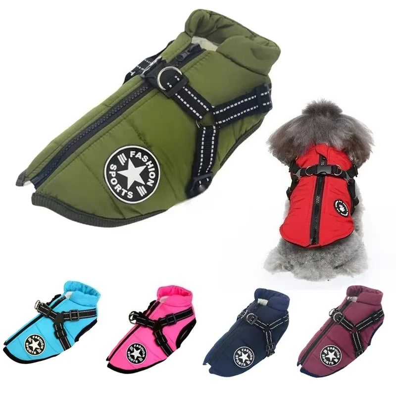 ZOOMNSTORE