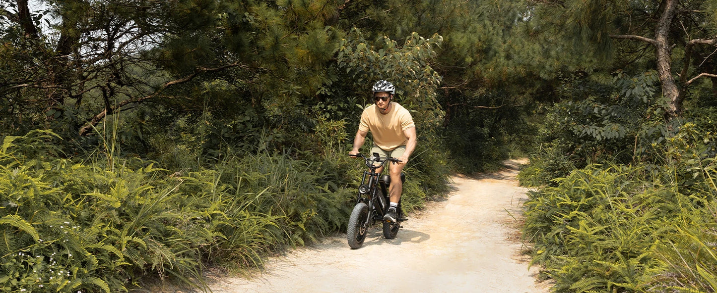VDL Mountain Electric Bike , 16" Fat Tire Ebike, Wider Seat 250W Peak Motor, Removable Battery, Front Fork Suspension